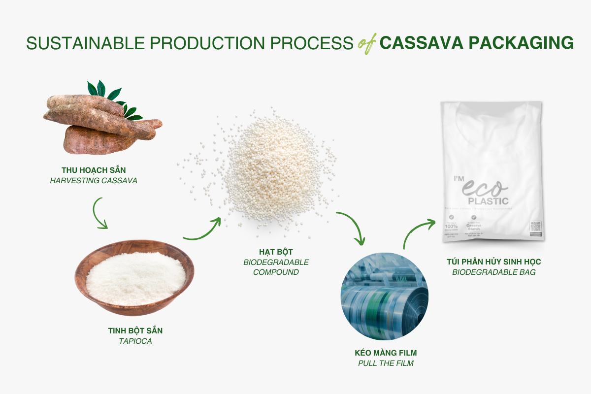 Complete Biodegradation Lifecycle