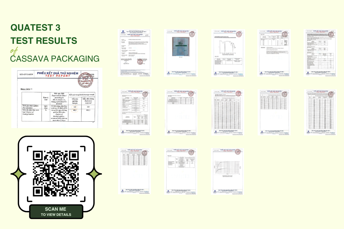 Reputable-Certifications-Absolute-Safety