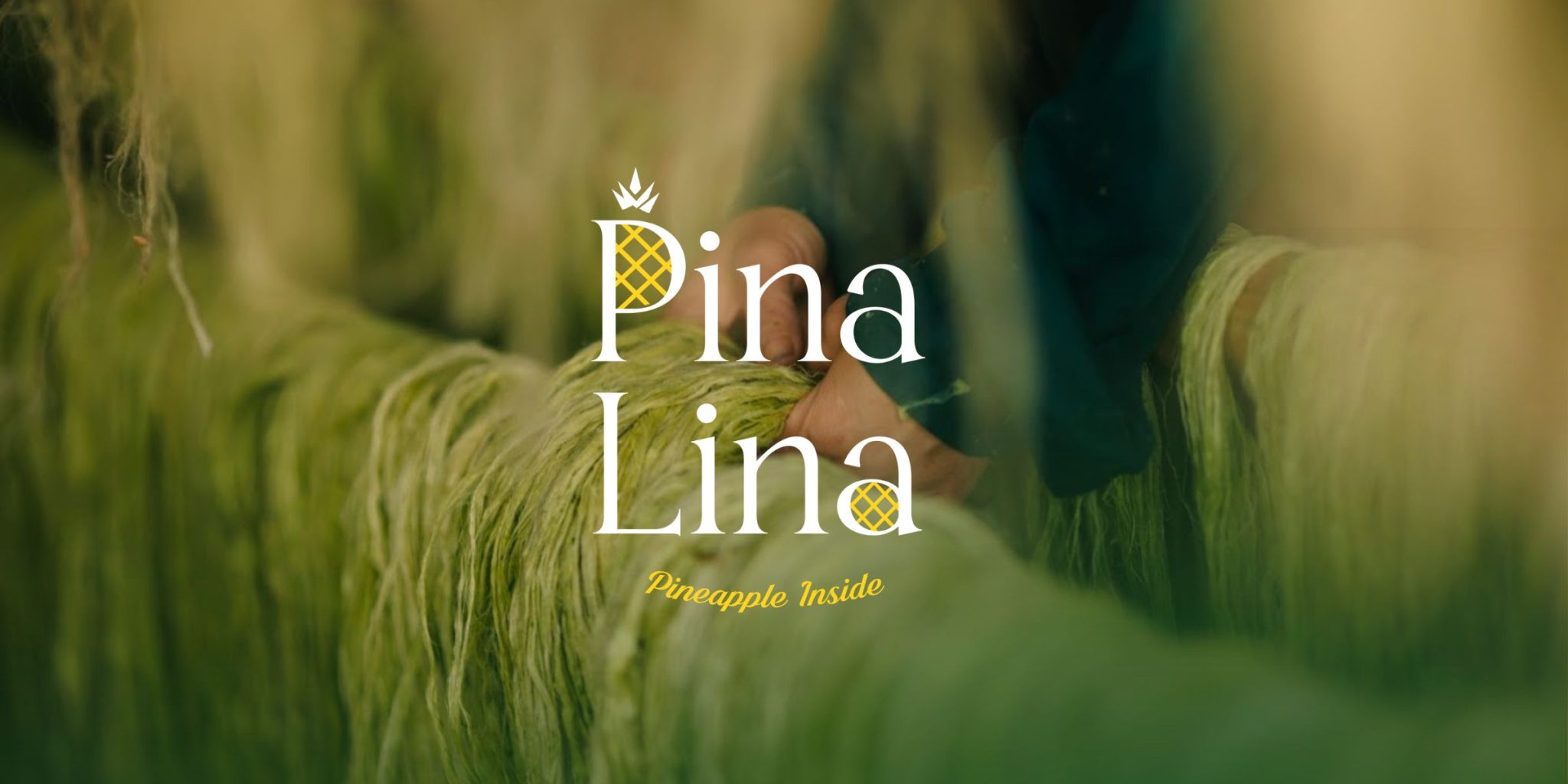Vải Sợi Dứa PINALINA™: Hành Trình Từ Phụ Phẩm Nông Nghiệp Đến Thời ...