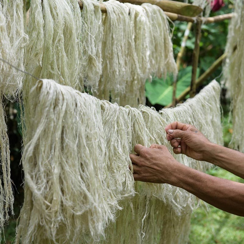 Chất liệu vải sợi Dứa